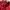 Karl Kani Y2K Windbreaker Pria black red photo 5