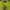 Carhartt Streetwear Sweater Pria green photo 3