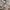 Luxury Sweater Wanita gray photo 5