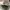 Adidas Streetwear Casual Sneakers Pria white black photo 8