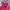 Vintage Sportswear Windbreaker Pria pink photo 5