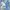 Casual Sweatshirt Wanita blue photo 1