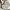 Vintage Tote bag Wanita white brown photo 1