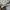 GAP Streetwear Casual Hoody Pria white photo 3
