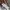 GAP Streetwear Casual Hoody Pria white photo 4