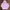 Evisu Streetwear Coquette Hoody Pria purple pink photo 1