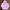 Evisu Streetwear Coquette Hoody Pria Purple Pink