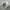 Japanese brand Streetwear Hoody Pria white photo 4