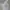 Japanese brand Streetwear Hoody Pria white photo 1