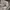 Levi's Streetwear Hoody Pria gray photo 6