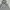 Levi's Streetwear Hoody Pria gray photo 1