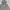 Levi's Streetwear Hoody Pria Gray
