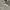 Levi's Streetwear Hoody Pria gray photo 7
