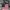 Japanese Brand Vintage Streetwear Bag Pria Multicolor