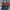 Dickies Vintage Casual Bag Pria navy red photo 1