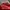 Polo Ralph Lauren Luxury Pria red photo 2