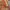Japanese Brand Vintage Casual Pria Multicolor Orange