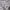 Covernat Vintage Sweatshirt Pria gray photo 4