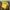 Nike Streetwear Sportswear T-shirt Pria yellow photo 1