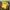Nike Streetwear Sportswear T-shirt Pria Yellow