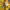 Nike Streetwear Sportswear T-shirt Pria yellow photo 3