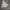 Dickies Outerwear Kids cream photo 4