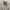 Carhartt Streetwear T-shirt Pria white photo 1