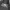Converse Casual Windbreaker Pria gray photo 4