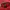 Streetwear Outerwear Kids red photo 4