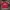 Adidas Vintage Sportswear Jersey Pria white red photo 1