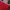 Adidas Vintage Sportswear Jersey Pria white red photo 6