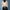 Casual Crop top Wanita white photo 1