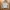 Polo Ralph Lauren Luxury Casual Sweater Wanita cream photo 2