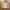 Polo Ralph Lauren Luxury Casual Sweater Wanita Cream