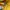 Nastykick Streetwear Skater T-shirt Pria yellow photo 4