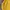 Nastykick Streetwear Skater T-shirt Pria yellow photo 5