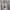 Acne Studios Casual Sweater Pria gray photo 3