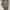 Nike Streetwear Sportswear Sweater Pria gray photo 4
