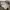 Nike Streetwear Sportswear Sweater Pria gray photo 1