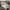 Nike Streetwear Sportswear Sweater Pria Gray