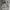 Nike Streetwear Sportswear Sweater Pria gray photo 2