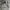 Nike Streetwear Sportswear Sweater Pria Gray
