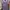 Vintage Coquette Wrap dress Wanita purple white photo 1