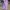 Vintage Coquette Wrap dress Wanita purple white photo 2