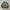 Minimalist Sweater Pria green gray photo 1