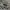 Minimalist Sweatshirt Pria green gray photo 5