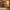 212 Degrees Casual dress Wanita brown black photo 1