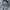 Polo Ralph Lauren Streetwear Sportswear Hoody Pria gray photo 4