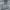 Polo Ralph Lauren Streetwear Sportswear Hoody Pria gray photo 2