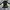 Mizuno Streetwear Sportswear Jersey Pria yellow black photo 4